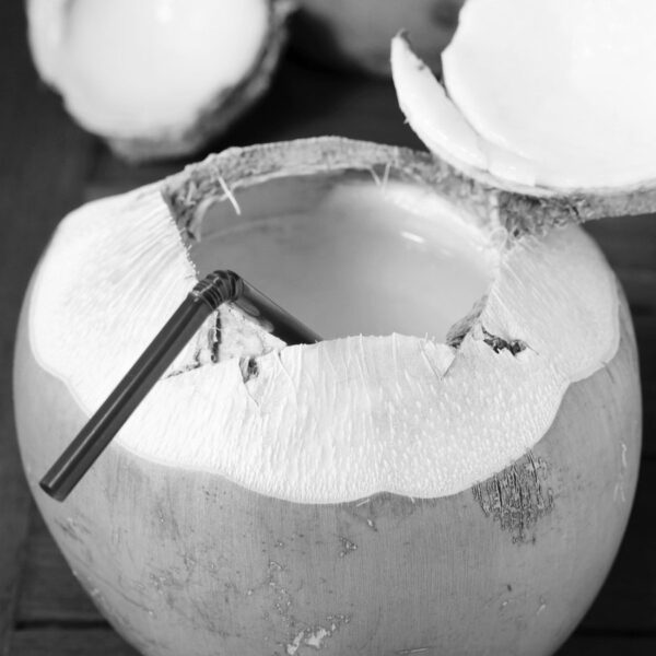 Coconut Water (Nariyal Pani) 9:00 AM to 7:00PM